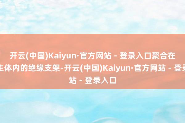 开云(中国)Kaiyun·官方网站 - 登录入口聚合在插座主体内的绝缘支架-开云(中国)Kaiyun·官方网站 - 登录入口